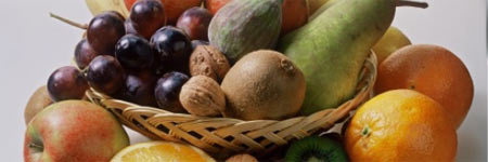 Tratamientos Ortomoleculares Actur veterinaria